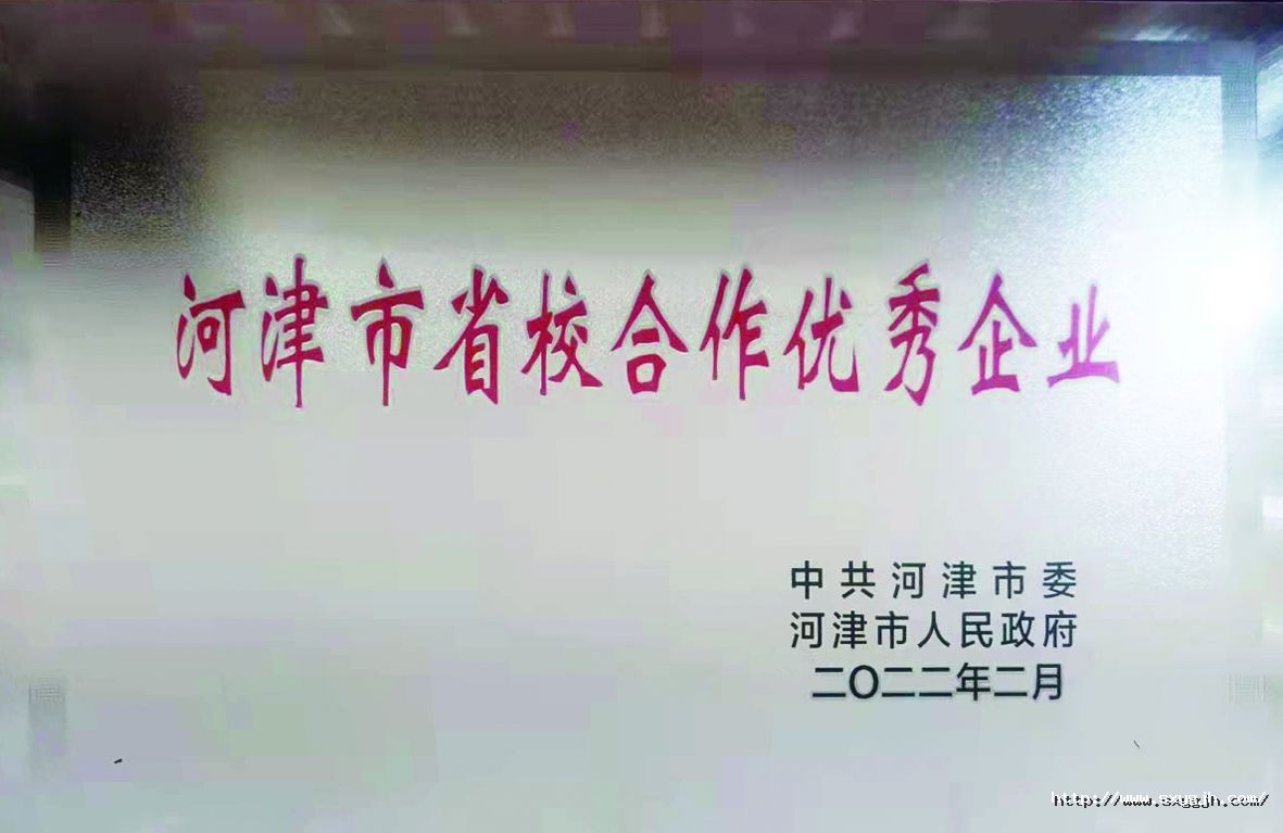 1版獎(jiǎng)牌01_副本.jpg