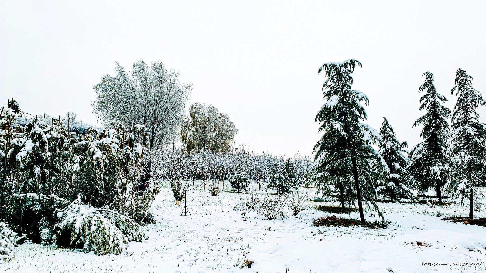 1702610509689214uj4m.jpg 4版 雪景遠(yuǎn)景.jpg